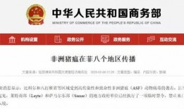 最新菲律宾爆料消息,揭秘惊天秘密事件！”