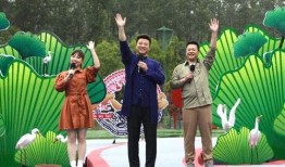 西京最新爆料新闻报道视频,最新爆料新闻报道视频深度解析